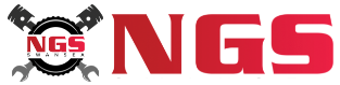 NGS Swansea Logo